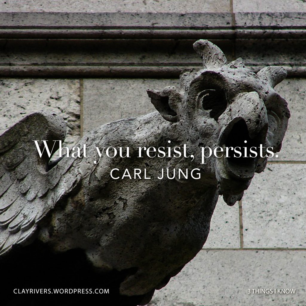 What-you-resist-persists. – Carl Jung